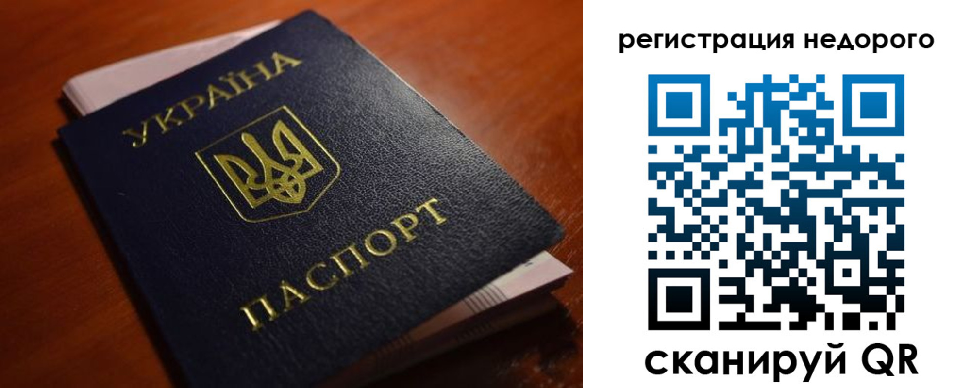 где прописаться в Пионерском